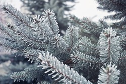 Народные приметы на 20 декабря 2023: что нельзя делать в этот день