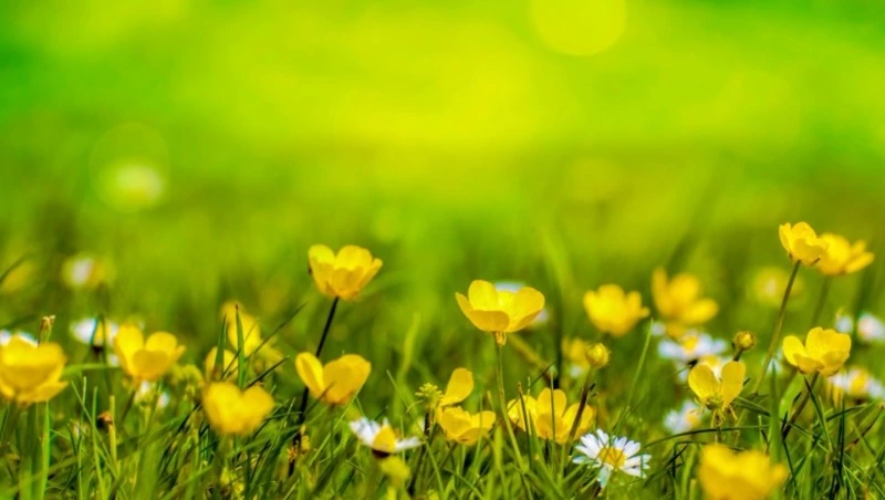 Народные приметы на 3 июня — что нельзя делать в этот день