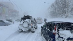 Прогноз погоды в Сахалинской области на 25 января