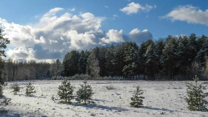Народные приметы на 16 марта — что нельзя делать в этот день