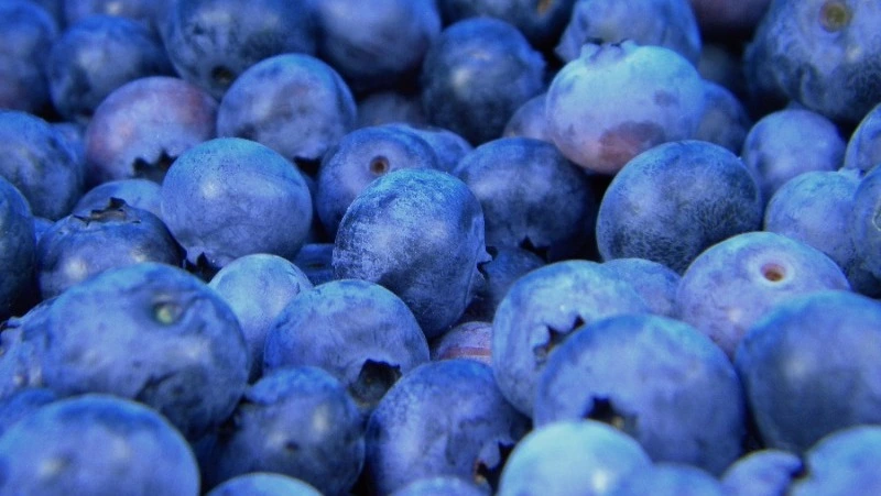 Народный и церковный праздник 22 июля 2024 — что нельзя делать в этот день