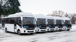 Власти Сахалина приобрели 25 современных автобусов для пяти районов