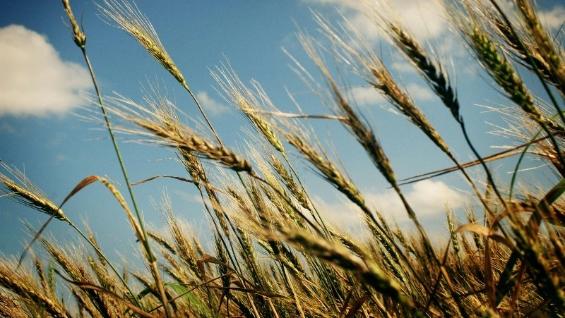 Народные приметы на 7 мая — что нельзя делать в этот день