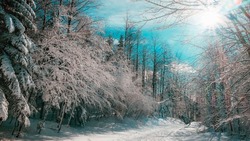 Небольшой снег и порывистый ветер ожидаются на Сахалине 11 января