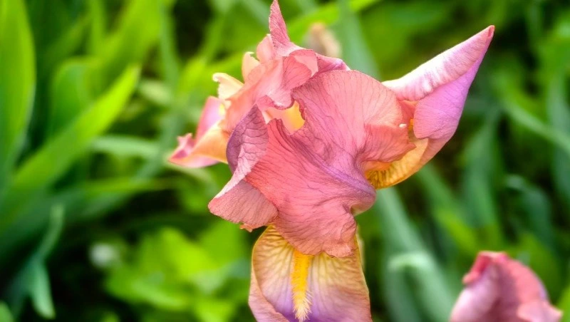 Народные приметы на 15 июня — что нельзя делать в этот день