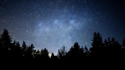 Гороскоп на 5 февраля: cоветы астрологов для каждого знака зодиака