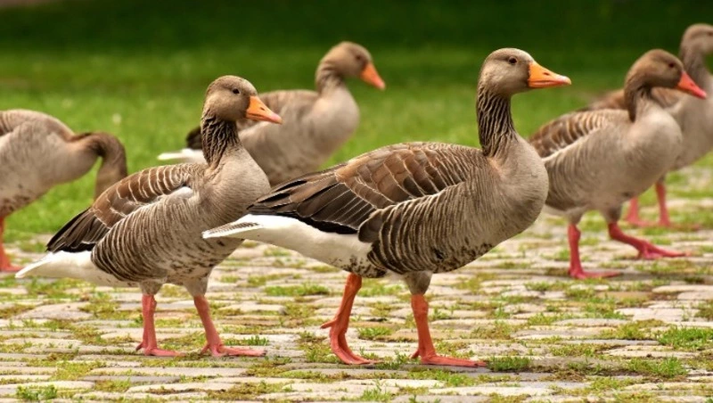Народные приметы на 10 июня — что нельзя делать в этот день