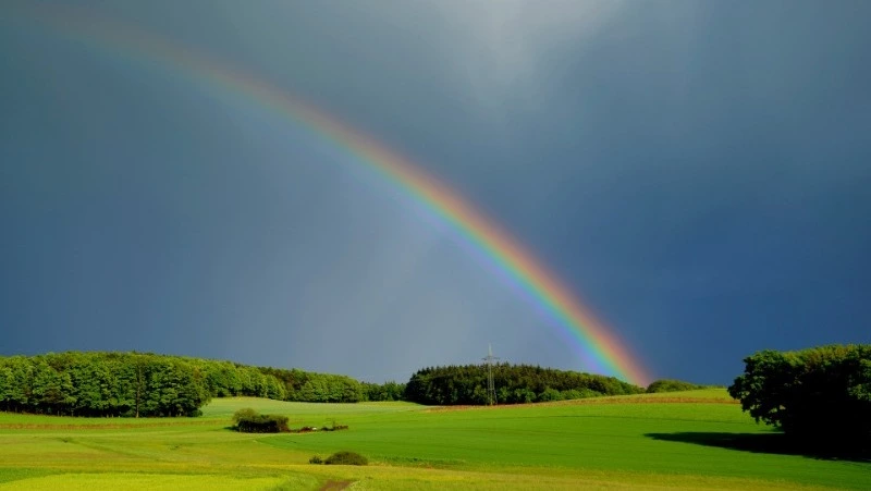 Народные приметы на 14 июня — что нельзя делать в этот день